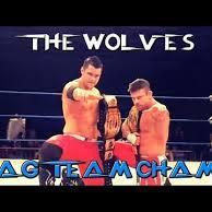 Profile Picture of Mandy Sandeman (@Mandy_TheWolves) on Twitter