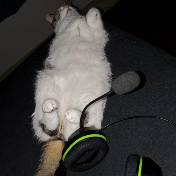 Profile Picture of Jeremy Rominski (@jromins) on Poshmark