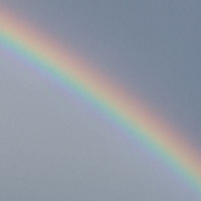 Profile Picture of Elizabeth Haines Tucker (@TuckerHaines) on Twitter