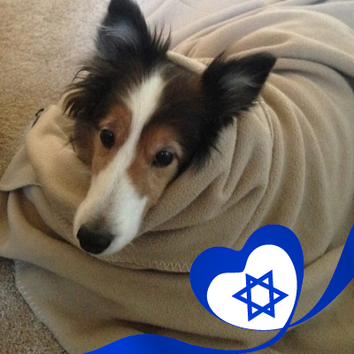Profile Picture of Joyce Joseph (@yosefasimcha) on Twitter