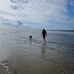 Jan Scheringer - Facebook Profile Picture of Jan Scheringer (@Jan-Scheringer) on Facebook