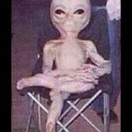 Profile Picture of Paul (@bye_farwell_) on Instagram