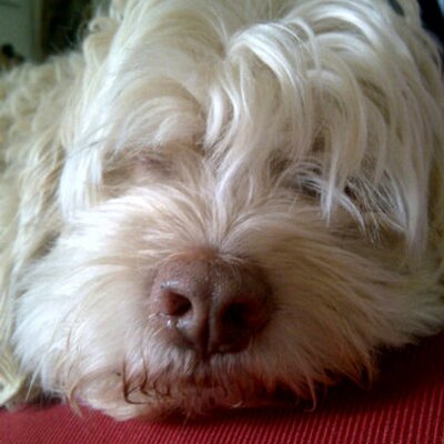 Profile Picture of Duncan Alexander (@DuncanDXCUK) on Twitter