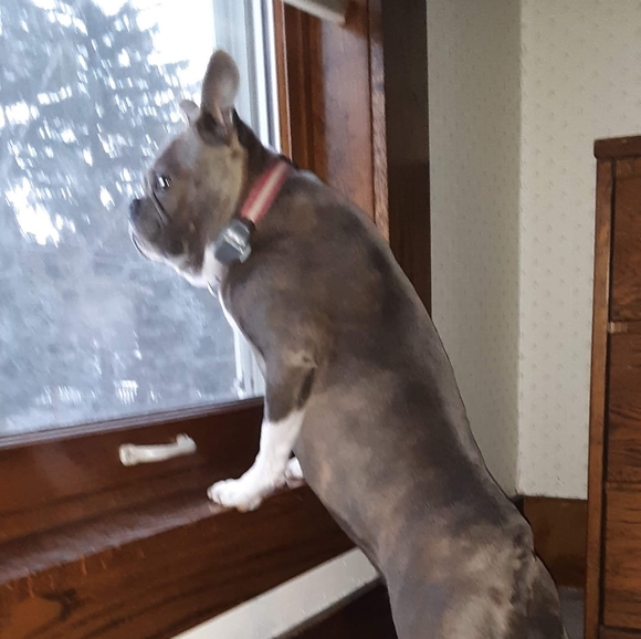 Profile Picture of Barbara Sanft (@barbarasanft76) on Poshmark