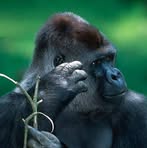 Profile Picture of Carroll Wineman (@carroll.wineman) on Facebook