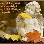 Profile Picture of Erika Müller (@erikamuller1272) on Pinterest