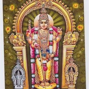 Profile Picture of Senthilraj (@Senthil53100613) on Twitter