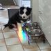 Profile Picture of Doris Read (@dorisar) on Pinterest