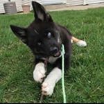 Profile Picture of Rigoberto Tejeda (@rtejeda73) on Instagram