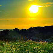 Profile Picture of Keely Shea (@keelyshea3515) on Youtube