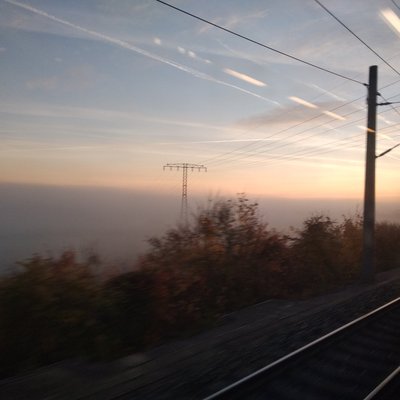 Profile Picture of Herr Herbert Bert (@HerrHerbertBer1) on Twitter