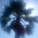 Profile Picture of Muhammet Ilhami Onaran (@muhammet ilhami onaran) on Flickr