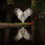 Profile Picture of Tim Hackney (@tphackney) on Instagram