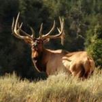 Mike Kuester Sr. - Instagram Profile Picture of Mike Kuester Sr. (@kuestersr.mike) on Instagram