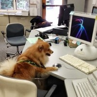 Alex Beaton - Quora Profile Picture of Alex Beaton (@alex-beaton-1) on Quora