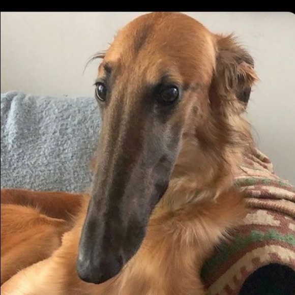 Yesenia Vidal - Poshmark Profile Picture of Yesenia Vidal (@yeseniavi) on Poshmark