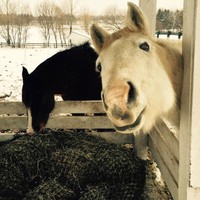 Profile Picture of Diane Benjamin (@diane-benjamin-18) on Quora