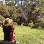 Profile Picture of Parrot Hanh (@parrot.hanh) on Facebook