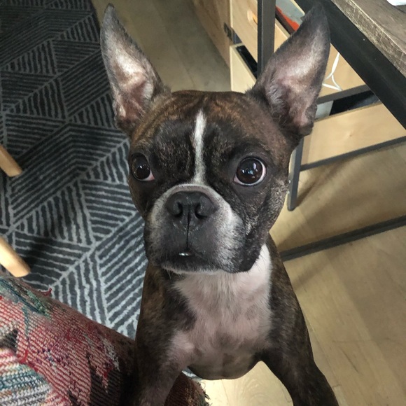 Inna Inna - Poshmark Profile Picture of Inna Inna (@msbobocita) on Poshmark