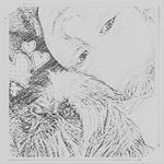 Profile Picture of nora burghardt (@_marshmallow.noni_) on Instagram