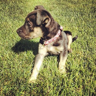 Profile Picture of Millard Allen (@MillardAllen230) on Twitter