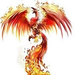 Darren Anthony Fish - Instagram Profile Picture of Darren Anthony Fish (@bigddaddybikerfish) on Instagram