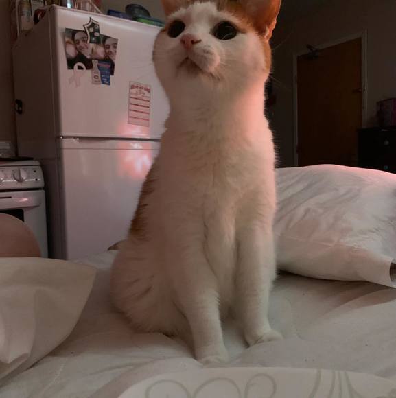 Profile Picture of Reid Schurman (@reidschurman) on Poshmark