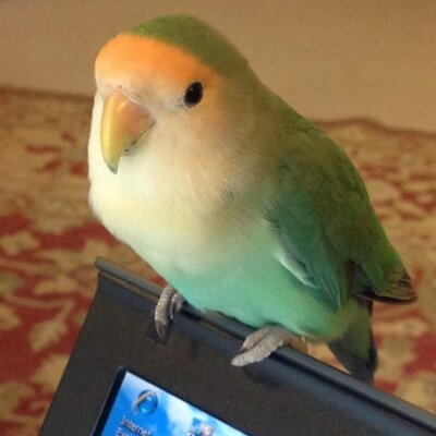 Profile Picture of Javaid Khan (@j47khan) on Twitter