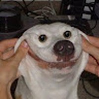 Profile Picture of Christian Frei (@christian-frei-12) on Quora