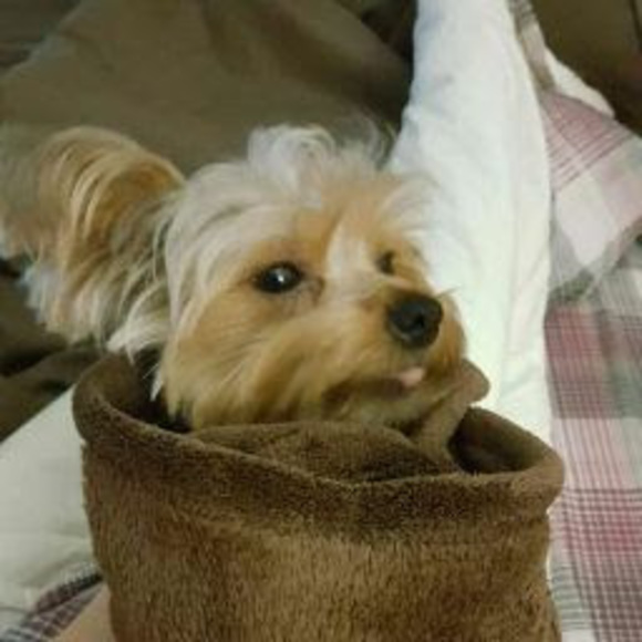 Profile Picture of Baeleigh Sivard (@baeleighsivard) on Poshmark