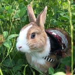 Profile Picture of YOSHI (@robin_to_shelly) on Instagram
