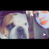 lexie jones - Tiktok Profile Picture of lexie jones (@@lexie_jonesx) on Tiktok