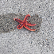 Profile Picture of Doru Leonard Stefan (@doruleonardstefan8744) on Youtube