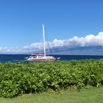 Joyce Brasfield - Facebook Profile Picture of Joyce Brasfield (@joyce.brasfield.658578) on Facebook