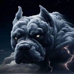 Profile Picture of thomasshedd4 (@thomasshedd4) on Tiktok