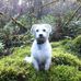Profile Picture of Marilyn Judd (@marilyn.judd.73) on Facebook