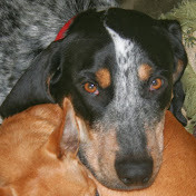 Profile Picture of Cameron Lopes (@cameronlopes5091) on Youtube