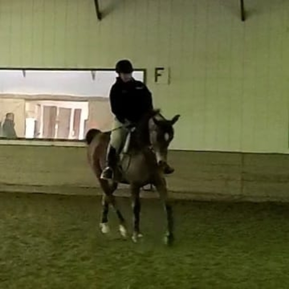 Missy Brucato - Poshmark Profile Picture of Missy Brucato (@missybrucato) on Poshmark