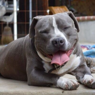 Profile Picture of Ian Morales (@ianmorales1207) on Twitter