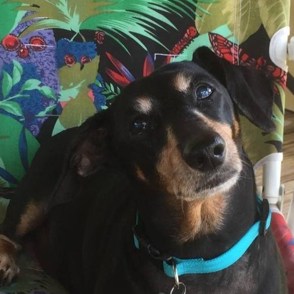 Profile Picture of Matthew Spear (@matthew_spear) on Poshmark