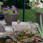 Profile Picture of Tony Liles (@lilestony) on Instagram