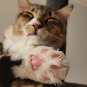 Profile Picture of Benjamin Stifter (@benjaminstifter5606) on Youtube