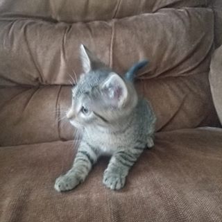 Chris Pleticha - Facebook Profile Picture of Chris Pleticha (@chris.pleticha) on Facebook