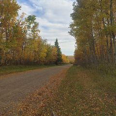 Profile Picture of mother (@joycedelorme1) on Tiktok