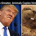Profile Picture of donald Trump daily (@ashtonvan9) on Instagram