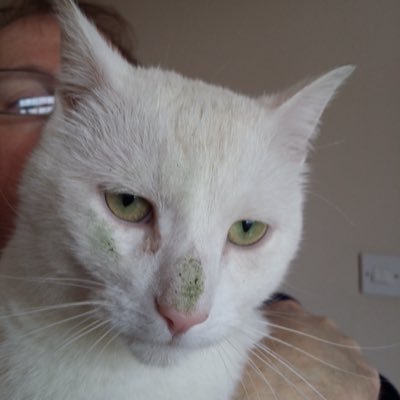 Profile Picture of Heather Hackett (@hevhackett) on Twitter