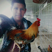 Profile Picture of Isaac Juarez (@isaacjuarez8898) on Youtube