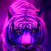 Profile Picture of Kevin (@colgate0911) on Pinterest