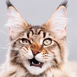 Profile Picture of Arely (@arely_ayala_123) on Instagram