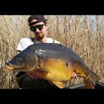 Profile Picture of Jeremy Beck (@beauties.of.the.deep) on Instagram